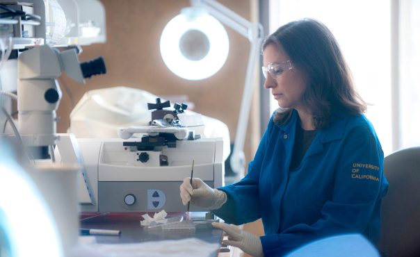 Female researcher working in Gross Hall Stem Cell Lab